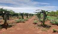 IMG-20251013-WA0023