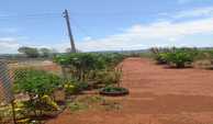 IMG-20251014-WA0002