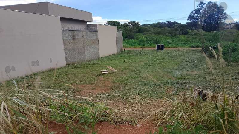 WhatsApp Image 2026-03-10 at 16