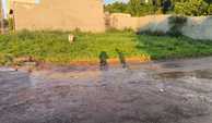 WhatsApp Image 2026-10-14 at 15